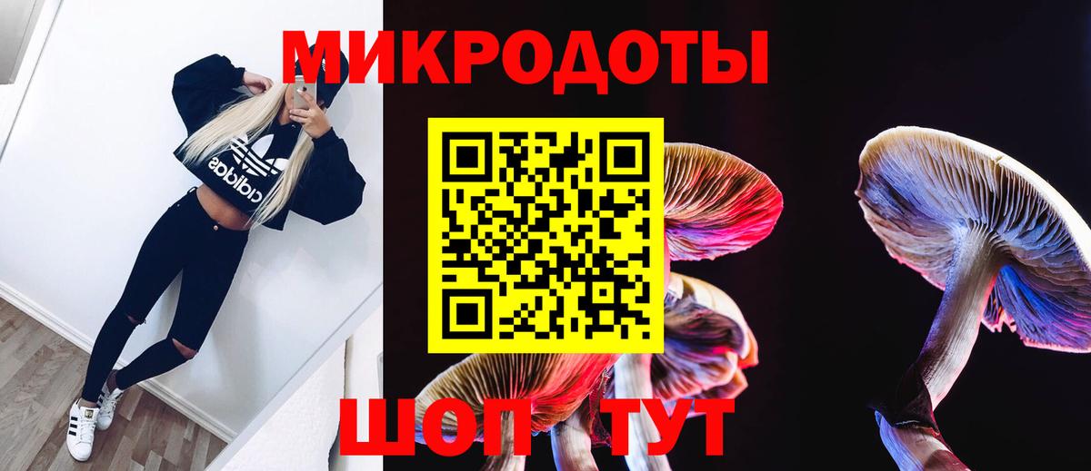 Галлюциногенные грибы Psilocybine cubensis  Вход с VPN  Чусовой 