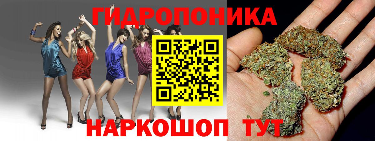 Шишки марихуана VHQ  Конопля семена  Бошки Шишки MAZAR  Вход с VPN  Чусовой  Шишки марихуана White Widow 
